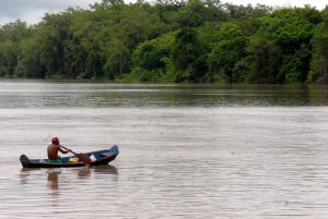 Amazônia: Brasil e Alemanha fazem cooperação para produção sustentável