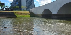 Porto Alegre: Lixo se acumula nos espelhos d'água do Largo dos Açorianos