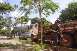 Ruas do bairro Azenha recebem manejo arbóreo preventivo