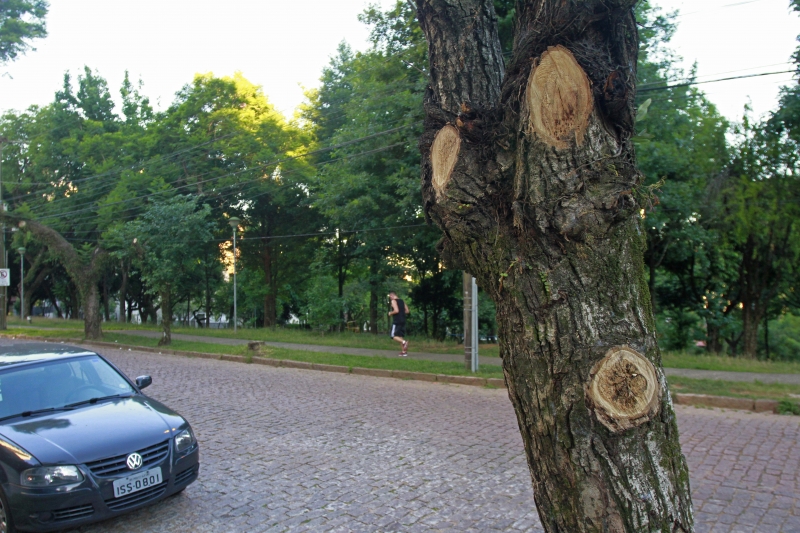 Detalhes Notícia