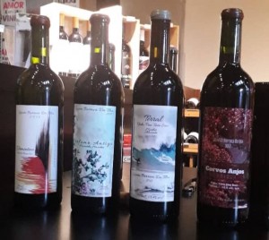 Vinhos: De Viamão para o mundo.  Eduardo Giovannini apresenta variedades incomuns e blends inusitados produzidos em Águas Claras