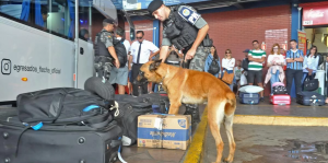 Ação combate tráfico na Estação Rodoviária de Porto Alegre