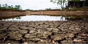 RS: Sobe para 76 número de cidades em situação de emergência devido a estiagem no RS