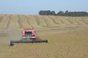 RS: Preço Recebido pelo Produtor fecha 2019 com valorização de 10,68%