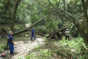 Porto Alegre: Parque Knijnik será reaberto neste sábado