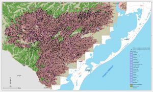 Serviço Geológico lança mapa online sobre áreas de risco no país