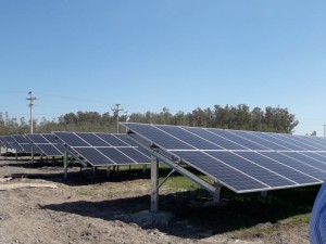 Renner começa a usar energia solar em loja no Rio Grande do Sul