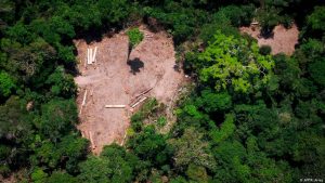 QUAL O FUTURO DOS INVESTIMENTOS DA ALEMANHA NA PROTEÇÃO DA AMAZÔNIA?