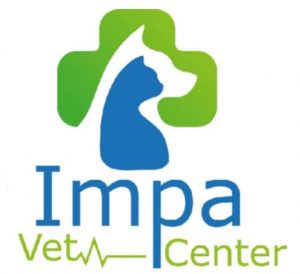 ONG INSTITUTO MAJÚNA DE PROTEÇÃO ANIMAL APRESENTA PROJETO DE PROTEÇÃO FOCADO NA SAÚDE E BEM-ESTAR ANIMAL