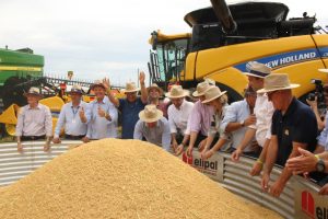 RS: ABERTA OFICIALMENTE A COLHEITA DO ARROZ