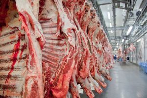 EUA encerram embargo a carne bovina in natura do Brasil. Anúncio foi feito pela ministra da Agricultura, Tereza Cristina