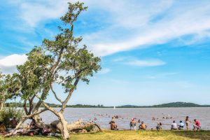 PORTO ALEGRE: PRAIAS DO LAMI E BELÉM NOVO PERMANECEM PRÓPRIAS PARA BANHO