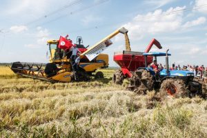 Festa do arroz orgânico em Nova Santa Rita terá presença de Lula