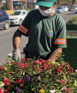 Gramado das flores e jardins. Não é por acaso que a frase “Leve nos olhos a imagem colorida de Gramado” ornamenta os pórticos da cidade