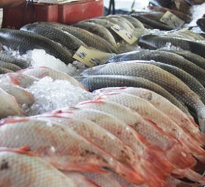 Porto Alegre: Venda de peixes será descentralizada para evitar aglomerações na Semana Santa