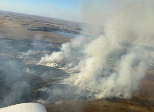 Incêndio em Alegrete é combatido com aviões agrícolas; Jornal do Comércio