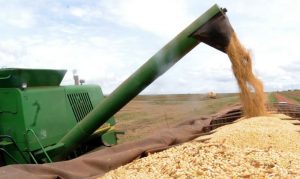 Safra de grãos supera pandemia e mantém alta produção com 251,8 milhões de toneladas