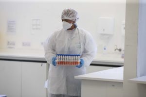 Laboratórios agropecuários poderão atuar no diagnóstico de covid-19. Anvisa alterou regulamento temporariamente