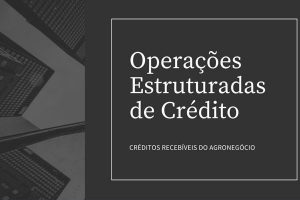 Farsul apresenta, em entrevista coletiva virtual, proposta de operações estruturadas de crédito encaminhada ao BNDES