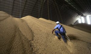 Previsão de crescimento agropecuário cai de 3,8% para 2,4% em 2020. Estimativa é do Boletim Agro, do Ipea