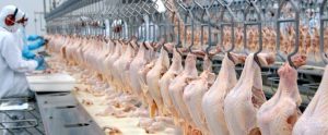 Filipinas suspendem compra de frango do Brasil por medo de coronavírus