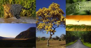 Douglas Fischer apresenta Exposição Fotográfica Virtual Homem e Natureza: uma reconciliação. Todos valores arrecadados serão destinados ao Asilo Padre Cacique e Educandário São João Batista