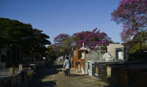 Artistas e jornalistas lançam site para homenagear mortos por covid-19