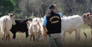 Auditores agropecuários atuam na fiscalização de emendas parlamentares