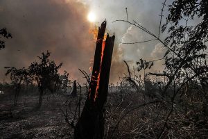 Passivo ambiental de empresas se torna fator de risco e afasta investidor; O Estado de São Paulo