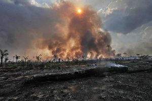 Motivadas por demanda global, gestoras brasileiras apostam em 'fundos verdes'; O Estado de São Paulo