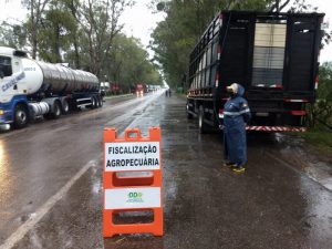 RS: Programa Sentinela atua sobre gado irregular na fronteira