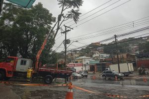 Porto Alegre: Equipes da prefeitura trabalham para minimizar efeitos da chuva