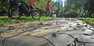 Sol volta a aparecer nesta sexta-feira e antecede forte calor no RS; Correio do Povo