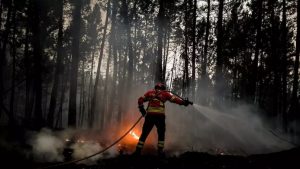 Incêndios florestais em Portugal já destruíram 6 mil hectares e provocaram € 7 milhões de prejuízos; RFI