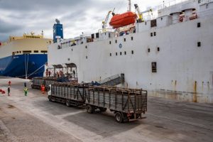 Videoconferência debate importância dos portos gaúchos para o agronegócio. Atividade foi promovida pela Câmara Temática do Mercosul e Comércio Exterior