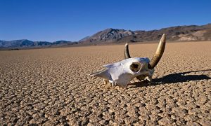 EUA: temperatura no Vale da Morte é a maior em 100 anos