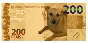 BC nega nota de R$ 200 com vira-lata caramelo mas estuda ação com animal; Estado de Minas