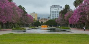 RS deve ter chance de chuva e segue com frio nesta segunda-feira; Correio do Povo