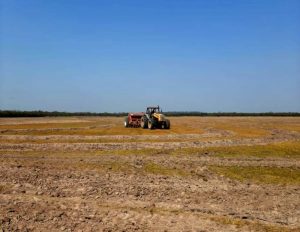 RS: Estimativa inicial da Emater/RS aponta que safra de verão pode ser a segunda maior do Estado