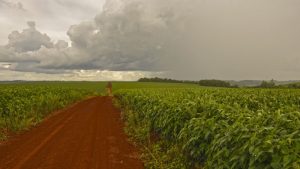 RS: Próximos dias serão de chuva e umidade no Estado