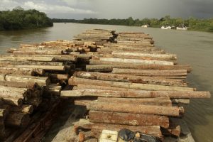 Governo quer os militares em ações de preservação da Amazônia até 2022; O Estado de São Paulo