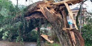 Temporal deixa quatro feridos e 40 desabrigados no Rio Grande do Sul; Correio do Povo