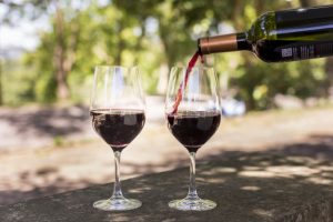 Setor comemora recorde no consumo de vinho no Brasil em 2020