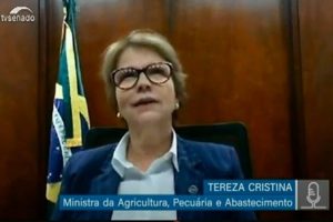 Ministra Tereza Cristina diz que incêndios seriam menores se houvesse mais gado no Pantanal; Correio Braziliense