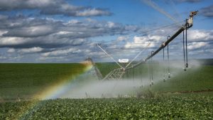 Programas desenvolvidos pela Secretaria da Agricultura reduzem o impacto da estiagem no RS