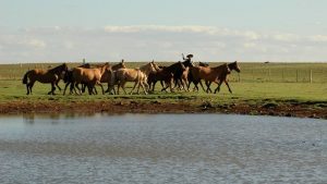 RS terá tempo seco e temperaturas amenas nos próximos dias