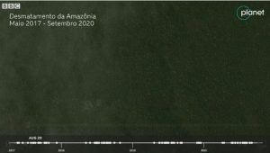 Noruega financia mapeamento de florestas tropicais por satélite em esforço contra desmatamento; BBC