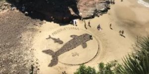 RS: Praia do Parque da Guarita, em Torres, ganha obra de artista local; Correio do Povo