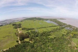 Porto Alegre: Audiência debate mudança na área da Fazenda do Arado; Jornal do Comércio