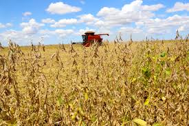 Seguro agrícola aprofunda raízes no campo; Jornal do Comércio